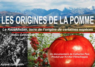 Affiche les origines de la pomme