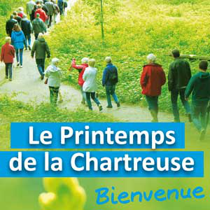 chartreuse_printempsv.jpg