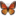 🦋