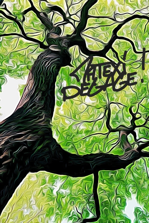 May be an image of tree, outdoors and text