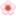 🌸