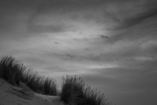 06022016-DSC_2260